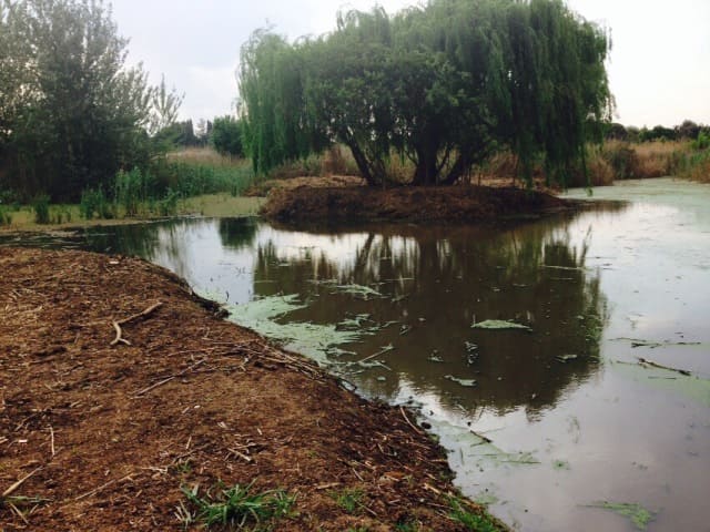 Near end result of Removing Algae from dams Near end result of Removing Algae from dams