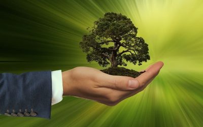 The Importance of Eco-friendly Products