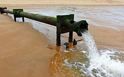 What happens to untreated sewage?
