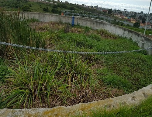 BioTreat Liquid and BioTreat Powder in the anaerobic ponds BioTreat Liquid and BioTreat Powder in the anaerobic ponds