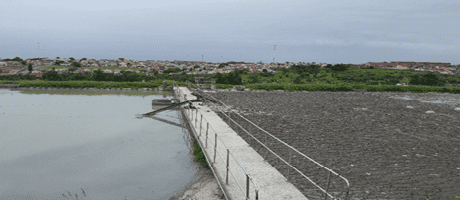 PROJECT RESULTS OF TREATMENT IN THE ANAEROBIC PONDS Before PROJECT RESULTS OF TREATMENT IN THE ANAEROBIC PONDS Before
