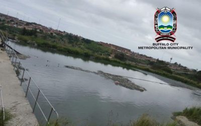 Successful Treatment at Buffalo City Waste Water