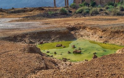How does soil contamination affect the environment