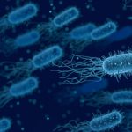 The Difference between Sanitising and Disinfecting