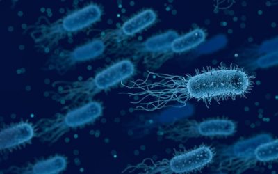 The Difference between Sanitising and Disinfecting