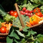 How vegetable microbes are used to clean pollution