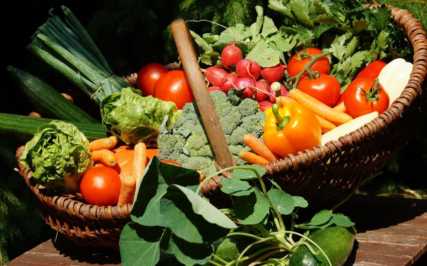 How vegetable microbes are used to clean pollution